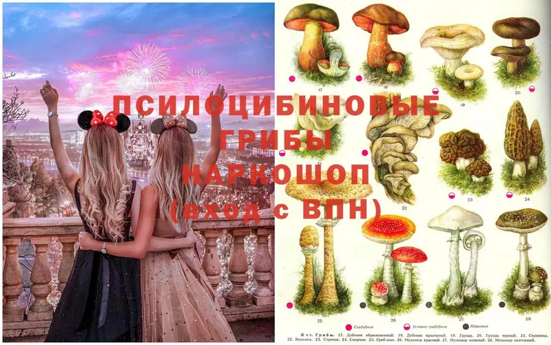 наркотики  Новосибирск  Псилоцибиновые грибы MAGIC MUSHROOMS 